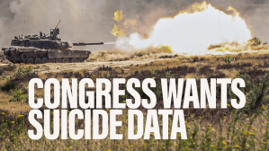 Army suicide investigation follow-up: Congress wants answers