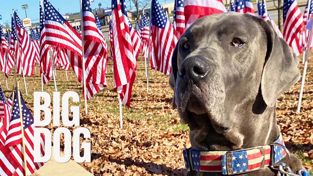 Big dog receives top award for helping service members