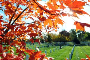 Arlington Cemetery’s dwindling space to make room for a long-awaited memorial to Vietnam helicopter pilots