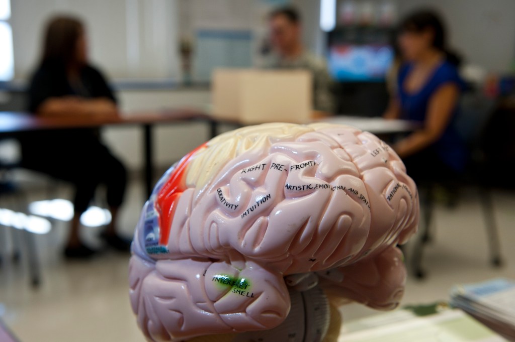 Ibogaine shrub helps vets with traumatic brain injury, study finds