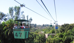 Marines charged with felony vandalism at San Diego Zoo released on bond