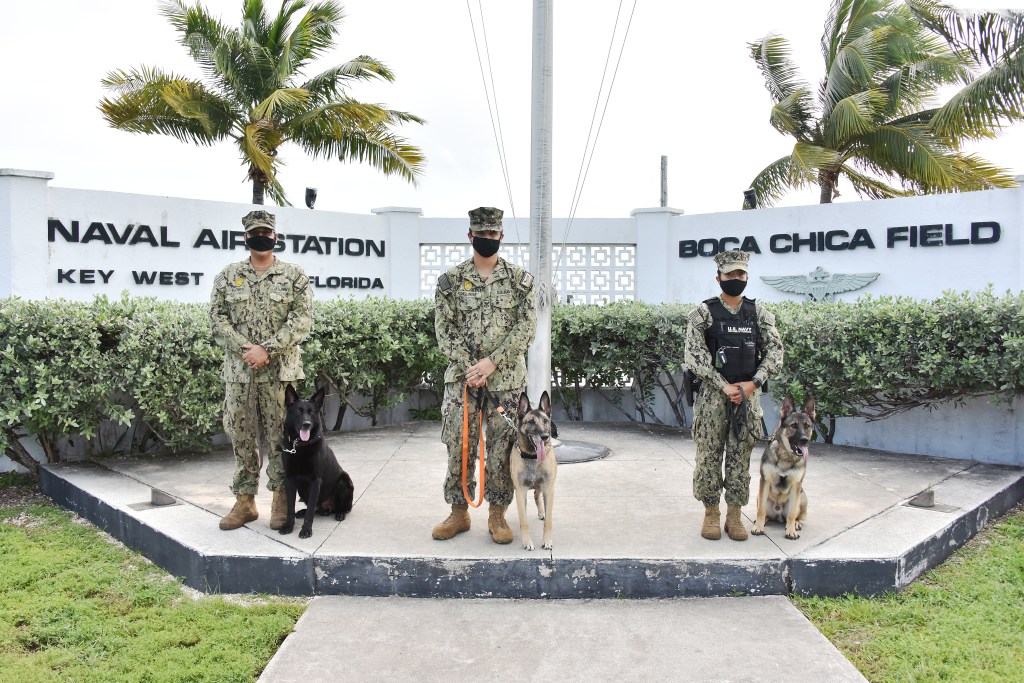 This very good girl was awarded a medal at her retirement ceremony at NAS Key West