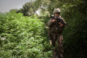 Marijuana legalization hasn’t harmed Army’s recruit outcomes, study says