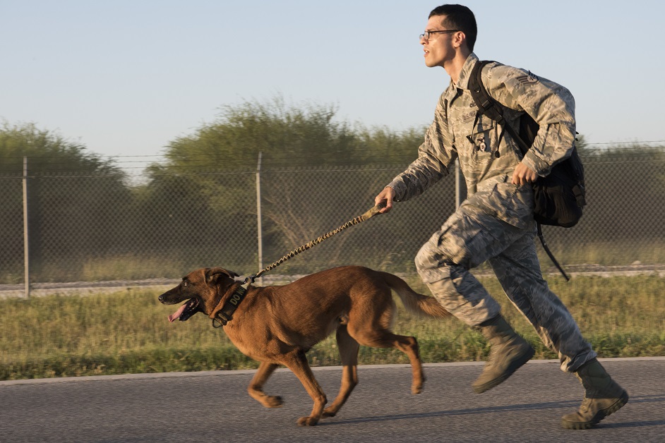 United cuts a break for military pets, but hurry, it won’t last long