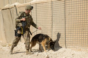 Troops evaluated for TBI following attack on Iraq base
