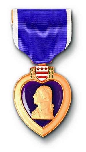Purple Hearts might be awarded in domestic terrorism cases