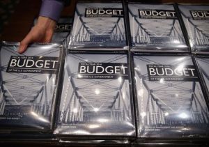 Budget would bypass ‘mindless austerity’