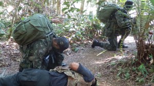 Chinese Seek Brazilian Assistance With Jungle Training