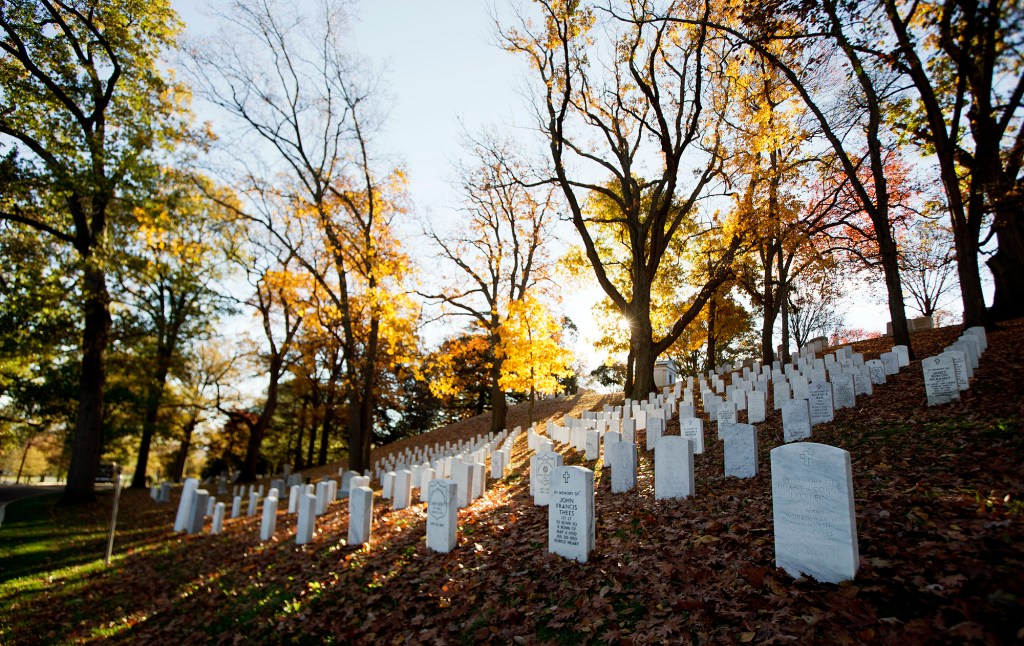 Remains of Army private killed in WWII battle identified