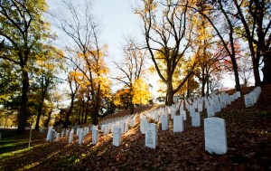 Remains of Army private killed in WWII battle identified
