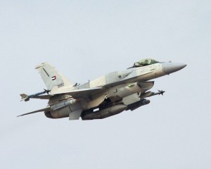 UAE’s Operational Success Credited to Joint Logistics Model