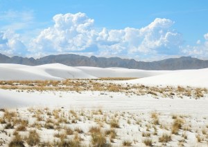 From sand to snow to sea, 3 Waypointers show us the sights