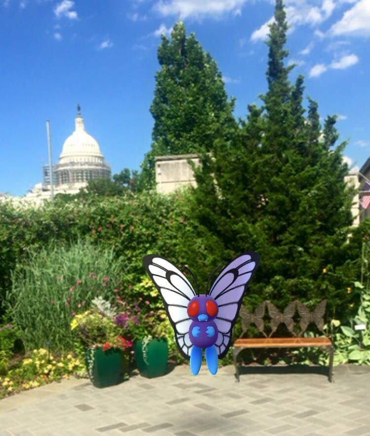 Beast of burden? Agencies weigh whether to embrace Pokémon Go