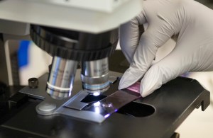 Inside Google’s quest to digitize troops’ tissue samples