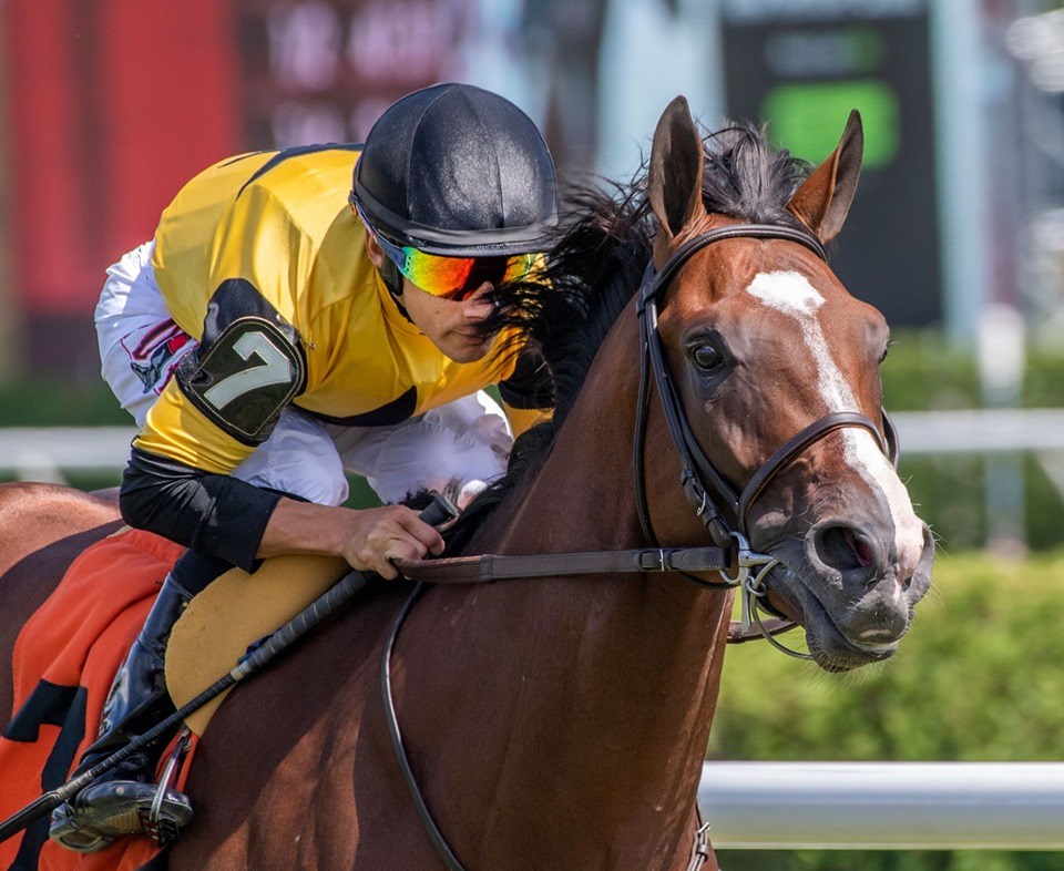 Decorated Invader: Two West Point graduates’ quest to champion the horse racing business