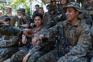 An enduring symbol: why troops keep naming things after reptiles