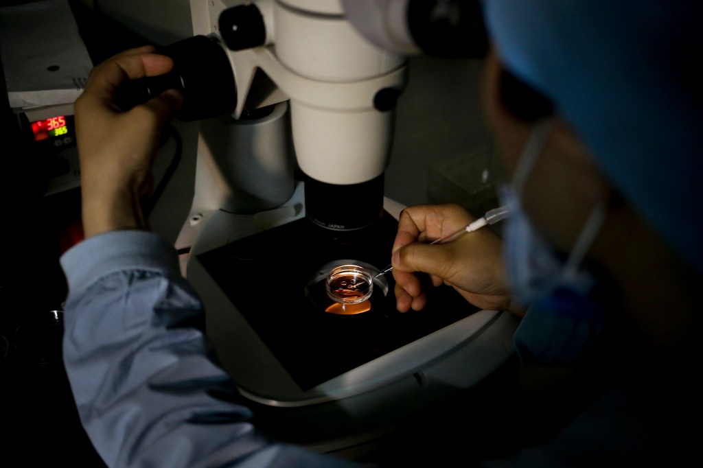 Lawmakers seek coverage for expedited fertility care under PACT Act