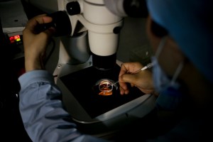 Lawmakers seek coverage for expedited fertility care under PACT Act