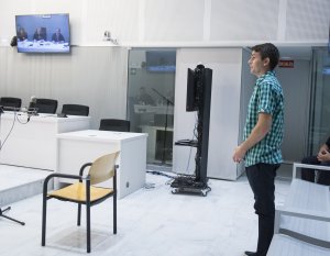 Lawyer: Russian programmer sought by US is political victim