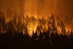 Forest Service spends record $2B battling forest fires