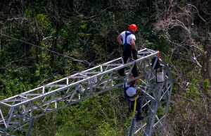 Puerto Rico utility moves to scrap $300M Whitefish contract