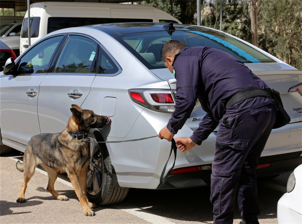 US anti-terror training abroad includes K-9, cybersecurity