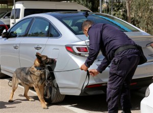 US anti-terror training abroad includes K-9, cybersecurity