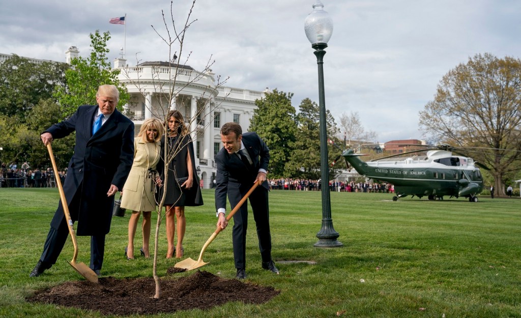 French president, Trump plant oak sapling from Belleau Wood in White House garden