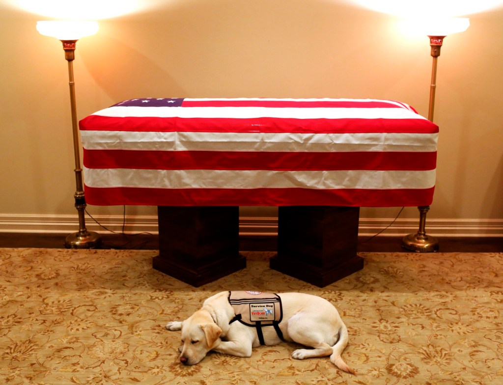 Sully, President Bush’s service dog, has new mission to serve wounded troops