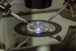 Russia to supply free sperm banks to troops fighting in Ukraine