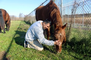 Veterans in Connecticut prison getting help from horses