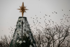 Feds get a surprise day off before Christmas