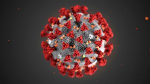 Pentagon website adds ‘Spotlight’ page for coronavirus updates