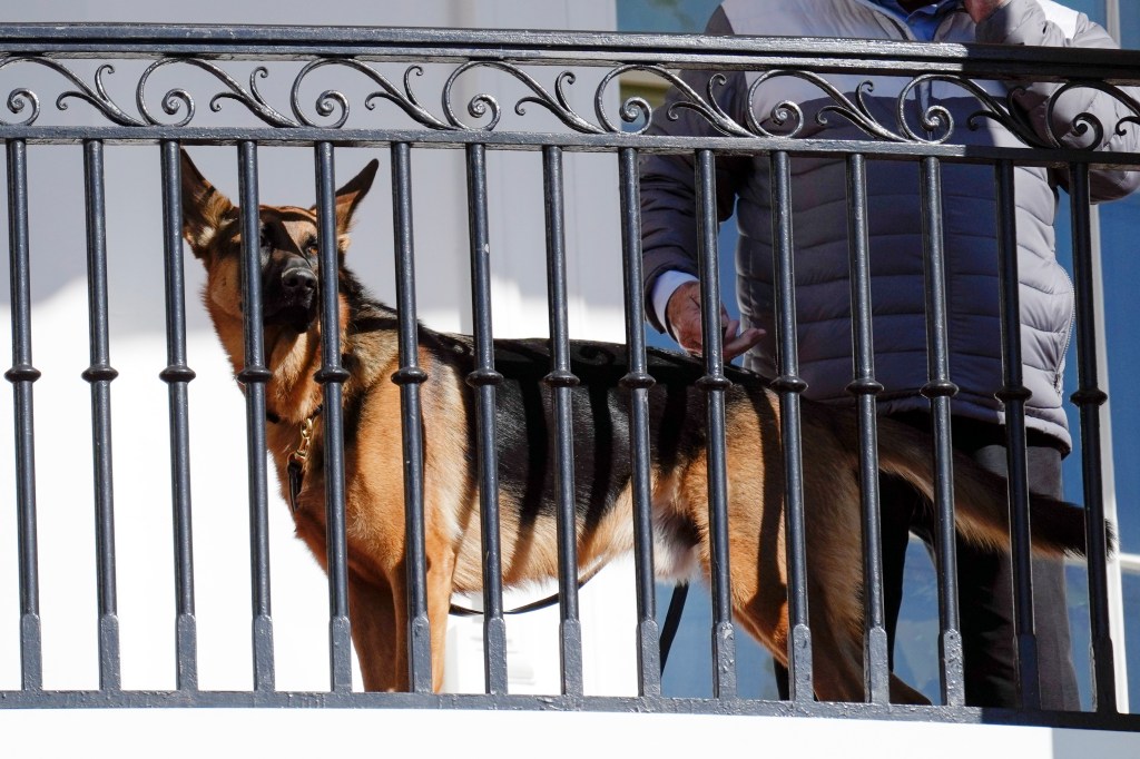 Secret Service officers bitten 10 times in four months by Biden’s dog