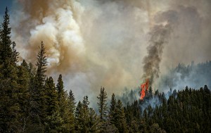 US Forest Service sued over largest wildfire in New Mexico history