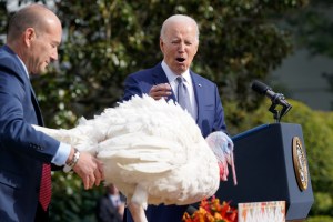 Is Thanksgiving a federal holiday? What about Black Friday?