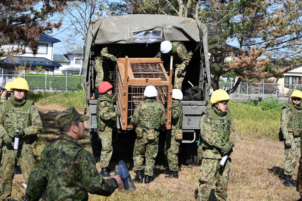 Japan deploys troops to counter surge in bear attacks