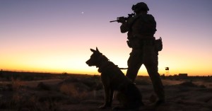 Sen. Richard Blumenthal cries havoc, wants to let slip more US-raised dogs of war