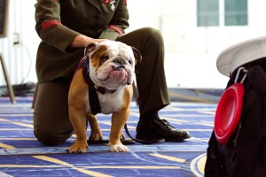 Sea-Air-Space: A recap of news and tech from the Navy League event