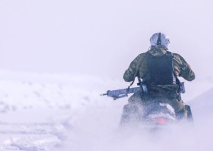 Cold Wx SKD PIG gloves