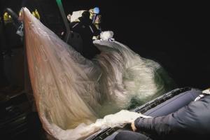 Chinese balloon wasn’t downed over Alaska due to ‘dangerous’ recovery