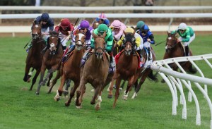 Congress gave horseracing authority too much power, court rules