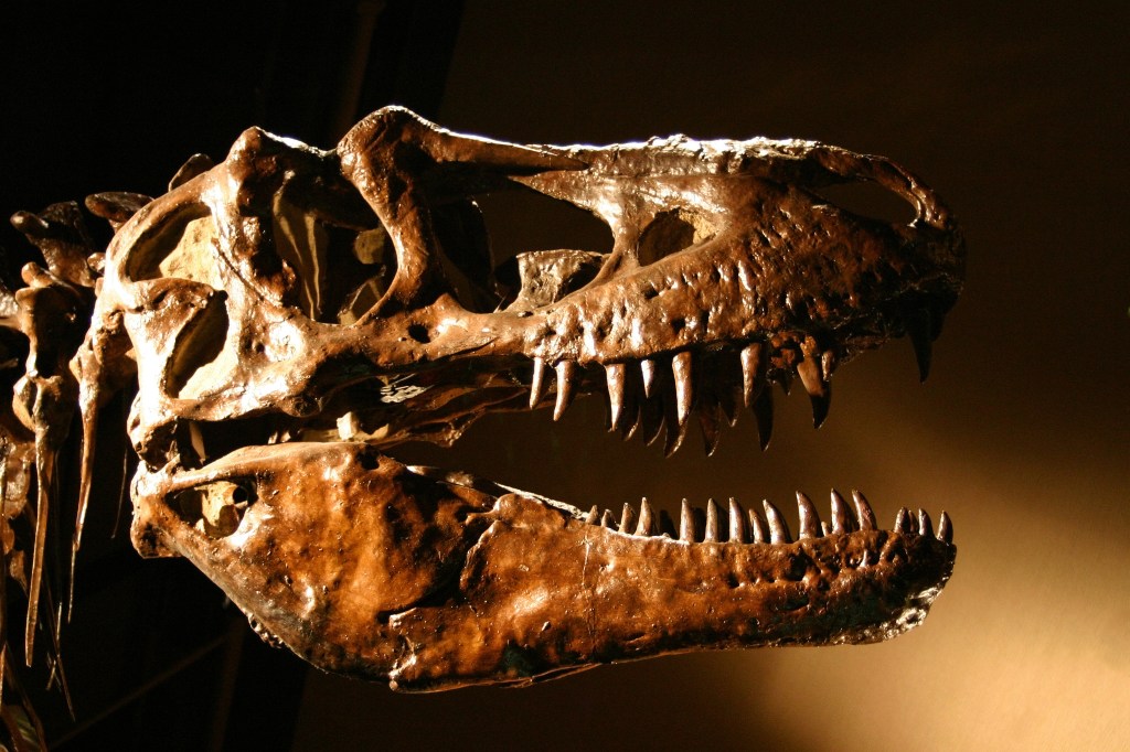 The US Army Corps of Engineers owns a bunch of dinosaurs — the more you know!