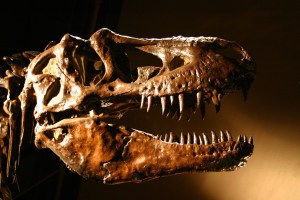 The US Army Corps of Engineers owns a bunch of dinosaurs — the more you know!