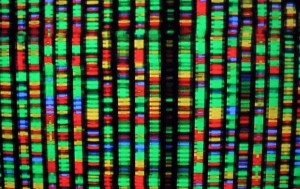 Curious about your family tree? Navy warns sailors about consumer genetic tests