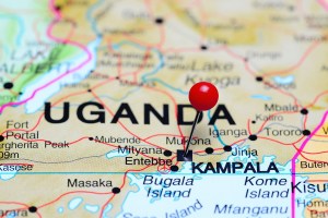 Patria reorganizes sales division following consultant’s death in Uganda