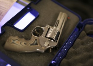 Reducing military and veteran suicide with a push for gun safety