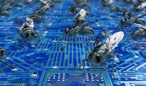 GSA offers bounty for computer bugs