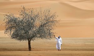 UAE pursues better border security collaboration, more domestic capabilities