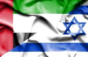 UAE and Israeli firms to collaborate on counter-drone system